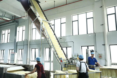 柳江區(qū) 精準(zhǔn)創(chuàng)新雙輪驅(qū)動(dòng)，食藥產(chǎn)業(yè)強(qiáng)音奏響技術(shù)服務(wù)新篇章