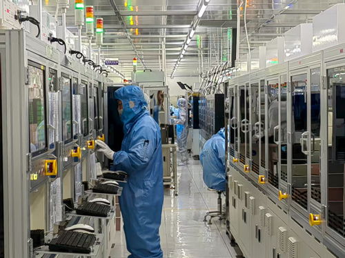 金融活水悉心澆灌，技術(shù)服務(wù)護(hù)航民營(yíng)經(jīng)濟(jì)滿帆前行